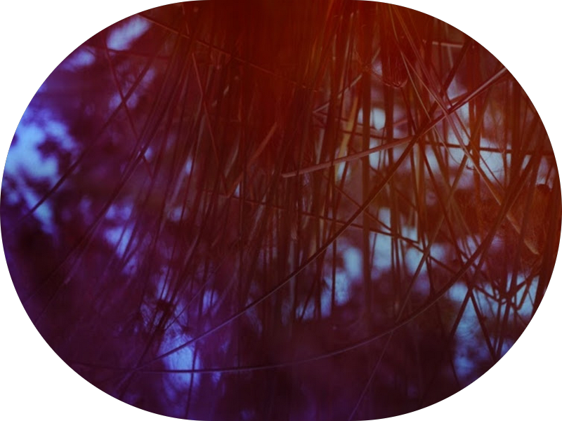 Foto 3 de Dra Claudia M Cerqueira