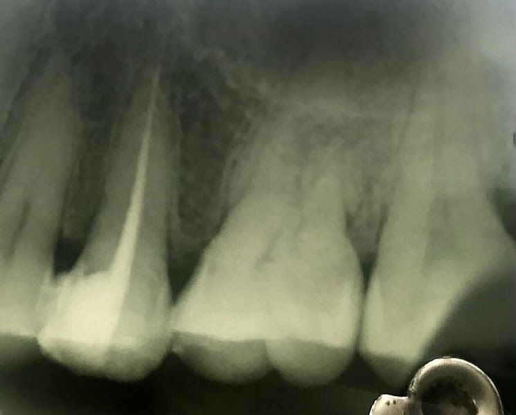 Foto 3 de Dra. Cleidiane Nascimento