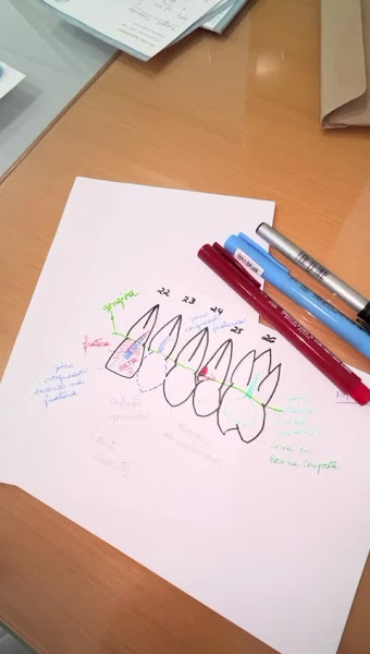 Foto 4 de Dra. Clery Saad Abboud | Consultório Odontológico em Jardim Paulista