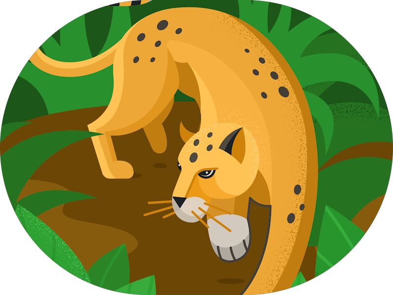 Foto 7 de Dra. Clotilde de Souza - Odontologia