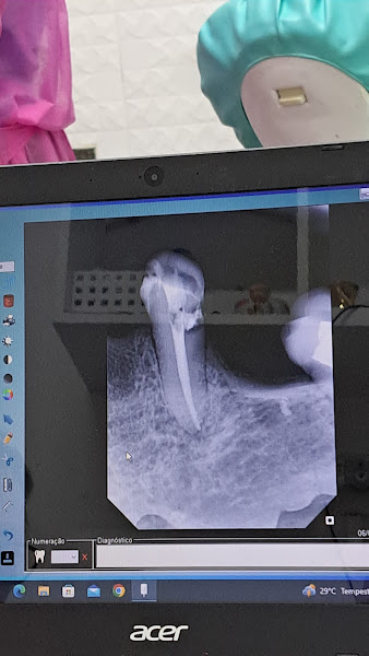 Foto 3 de Dra. CRISTIANE CUNHA M. MARQUES