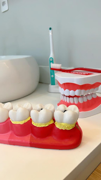 Foto 3 de Dra. Dafne Momberg - Dentista em Sorocaba