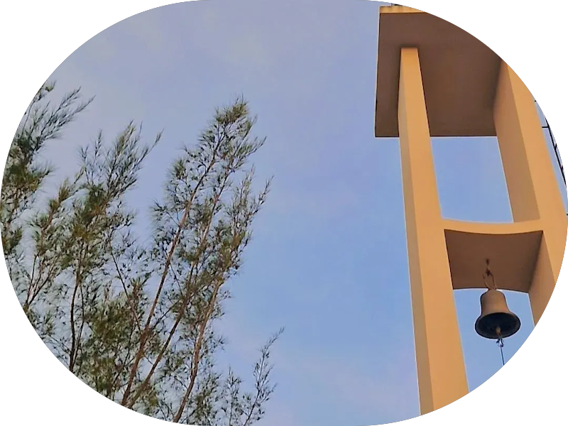 Foto 4 de Dra. Daniela Gomes - Odontologia Humanizada