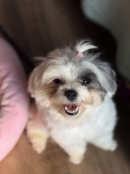 Foto 3 de Dra. Daniela Mol Valle