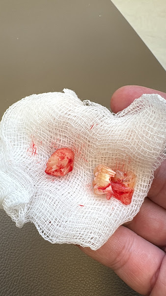 Foto 2 de Dra Daniella Estanho