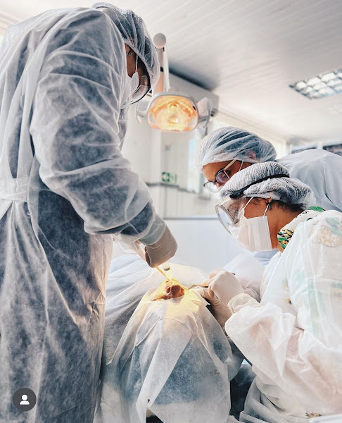 Foto 3 de Dra. Danyella Rodrigues - Implantodontista