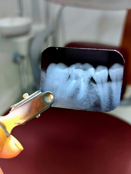 Foto 2 de Dra Deborah Arruda