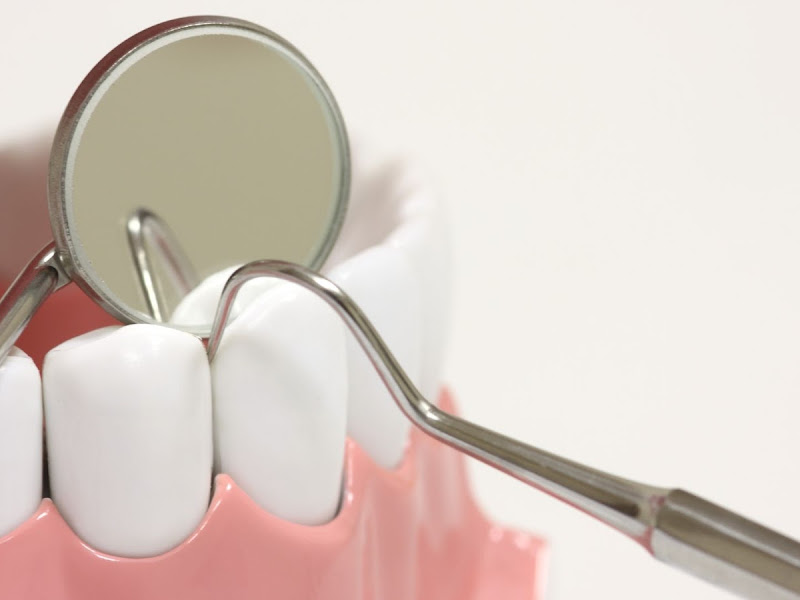 Foto 8 de Dra Dirce Nascimento