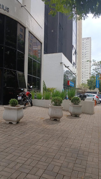 Foto 2 de Dra. Edilaine Jerônimo - Odontologia