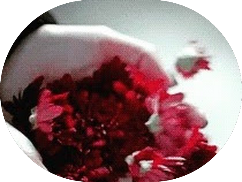 Foto 3 de Dra. Eduarda Souza