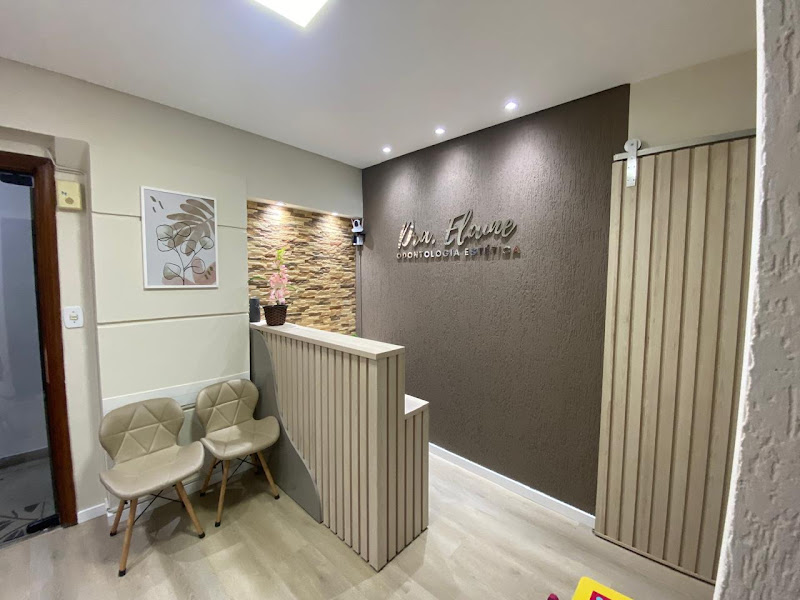 Foto 2 de Dra. Elaine Ribeiro