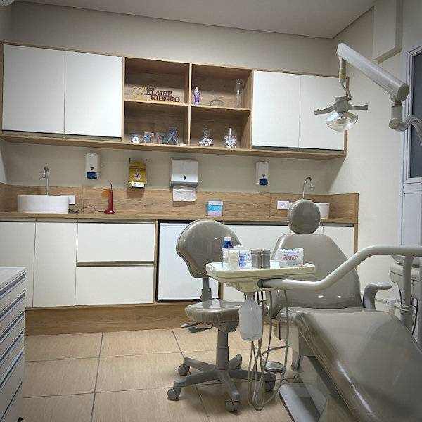 Foto 3 de Dra. Elaine Ribeiro