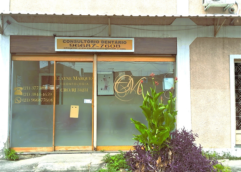 Foto 2 de Dra Elayne Viana Marques