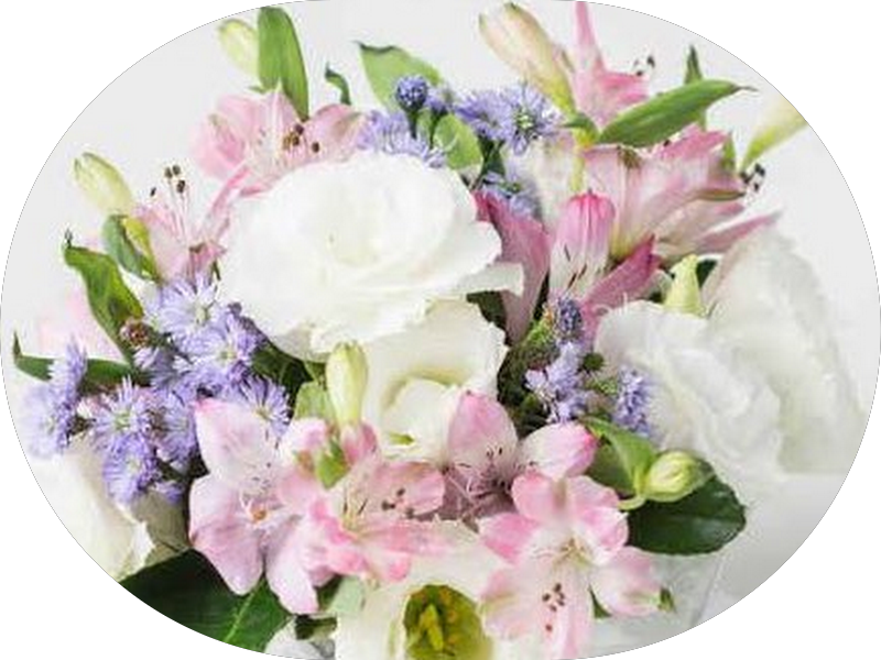 Foto 4 de Dra. Eliane Barrella