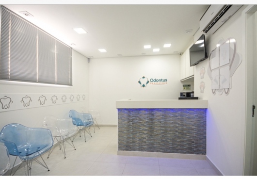 Foto 2 de Dra. Erica Sayuri Ishizawa G. Silva, Dentista