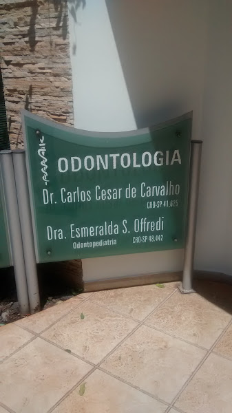 Foto de Dra. Esmeralda Offredi