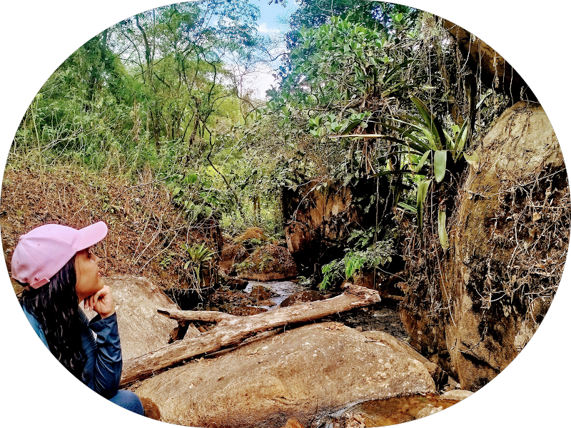 Foto 4 de Dra Evelyne Andrade / Estomatologista Em Recife