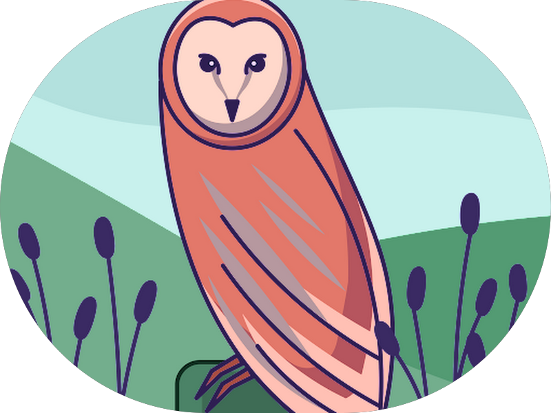 Foto 5 de Dra. Fabíola Calderan