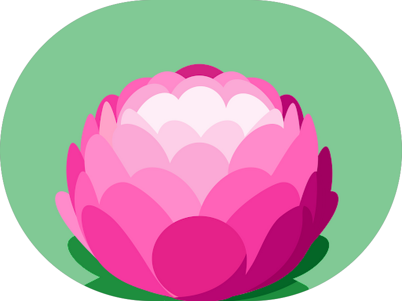 Foto 5 de Dra Ferezin