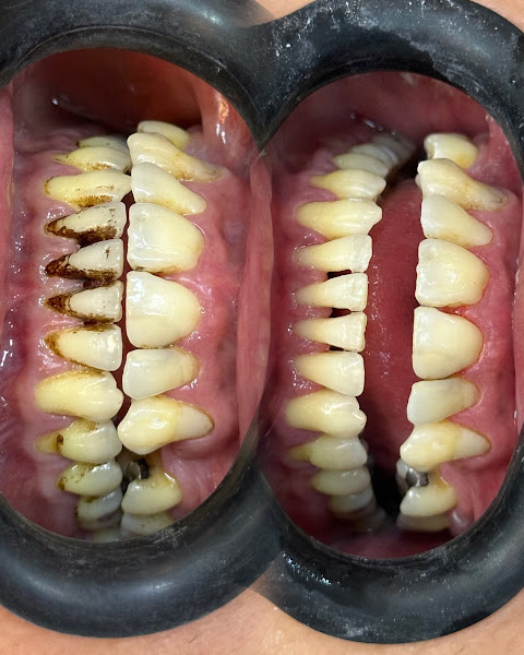 Foto 2 de Dra . Fernanda Aguiar - Dentista Goiânia