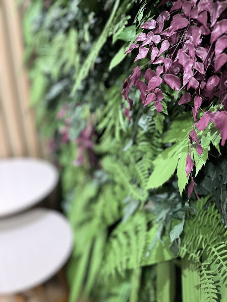 Foto 3 de Dra. Fernanda Kaneko