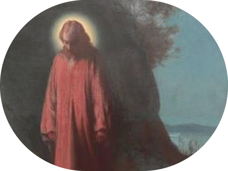 Foto 3 de Dra Fernanda Matiolli