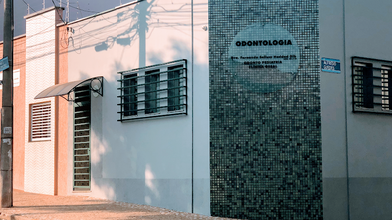 Foto 2 de Dra. Fernanda Sallum Haddad Dib