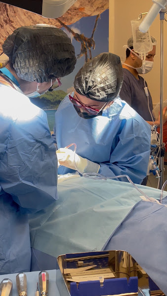 Foto 4 de Dra. Fernanda Thiesen | Extração de Siso São Leopoldo | Implante Dentário