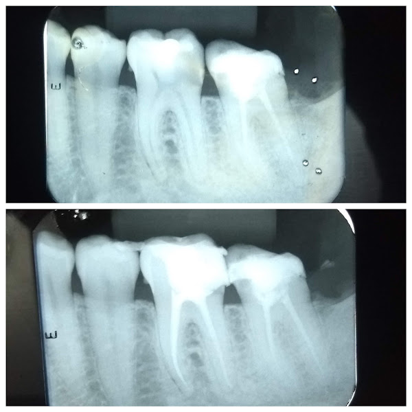 Foto 3 de Dra Fernanda Yasmin