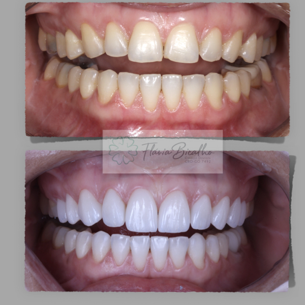 Foto 3 de Dra Flávia Bicalho