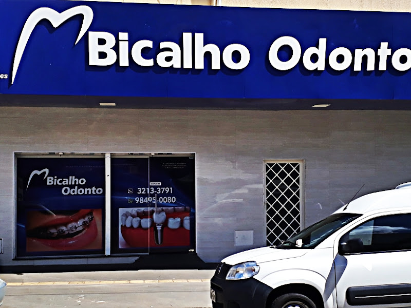 Foto 5 de Dra Flávia Bicalho