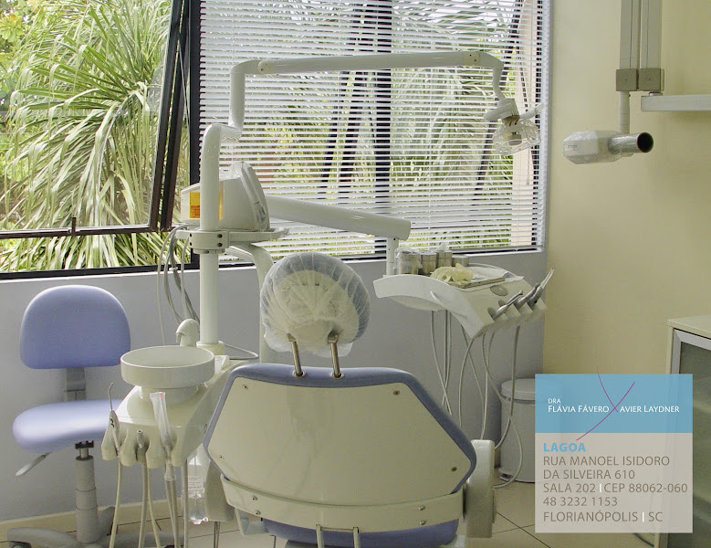 Foto 3 de Dra. Flávia Fávero Xavier Laydner