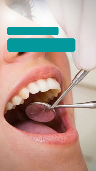 Foto 3 de Dra. Flávia Mendes - Dentista