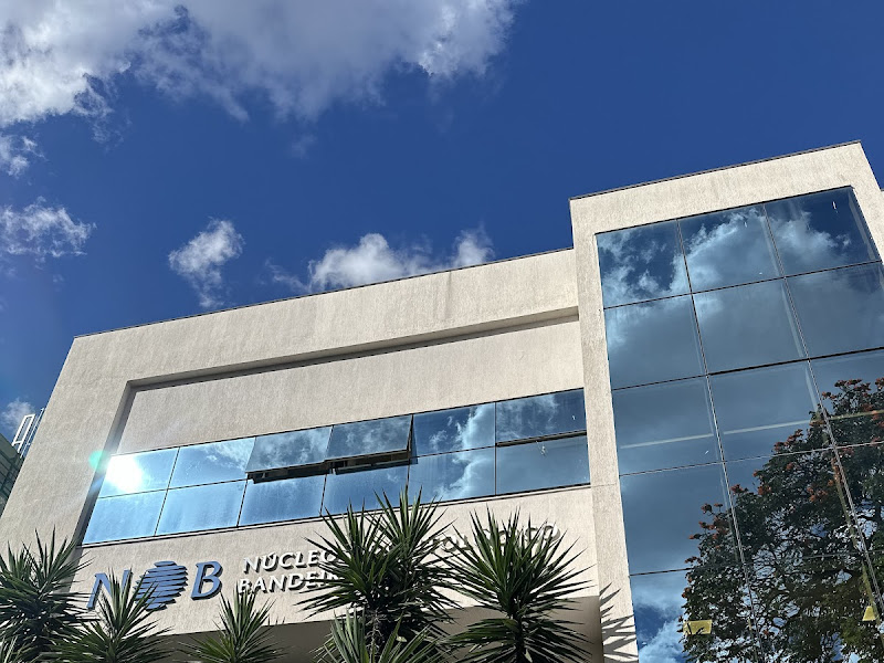 Foto 6 de Dra Flávia Porcaro.