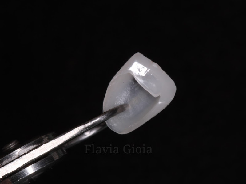 Foto 3 de Dra. Flávia Porfírio de Mendonca