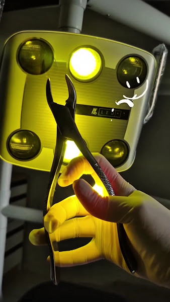 Foto 3 de Dra. Gabriela Cecilio – Dentista em Ponta Grossa