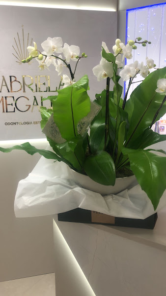 Foto 3 de Dra Gabriela Megale Odontologia Estética