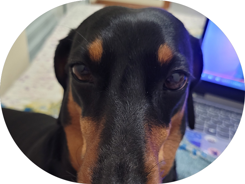 Foto 5 de Dra. Gabriela Newton