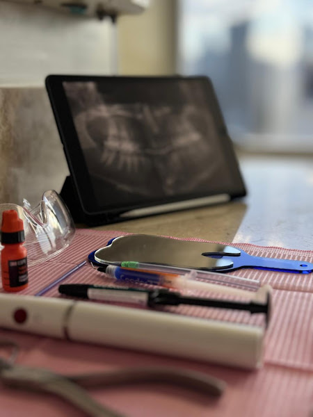 Foto 2 de Dra. Gabriella Dutra