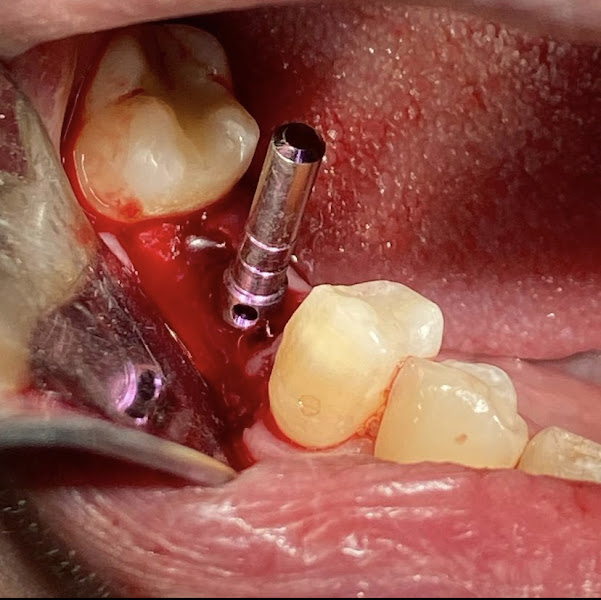 Foto 3 de Dra. Giovanna Carvalho S. Ferreira