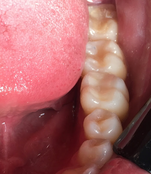 Foto 3 de Dra Giovanna Galdi