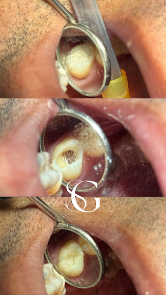 Foto 2 de Dra. Giovanna Silva - Odontologia