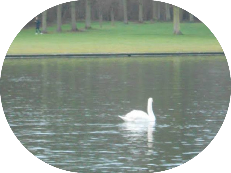 Foto 5 de Dra Graciele Cardoso Soares