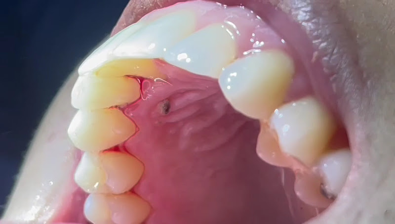 Foto 3 de Dra Ingryd Tertuliano | Dentista em Praia Grande