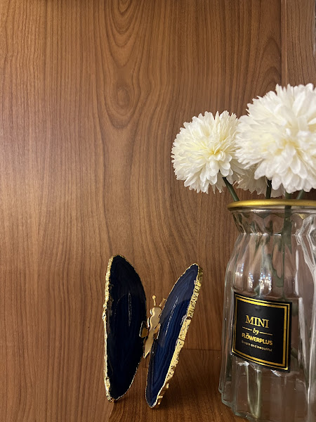 Foto 3 de Dra Isadora Ruíra - Harmonização OroFacial