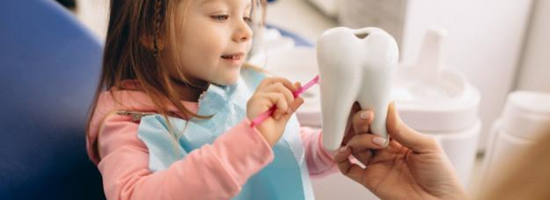 Foto 2 de Dra Izabelle Schneider Goulart Benfatti