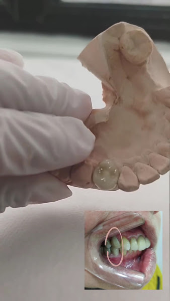 Foto 3 de Dra Janaina Carvalho