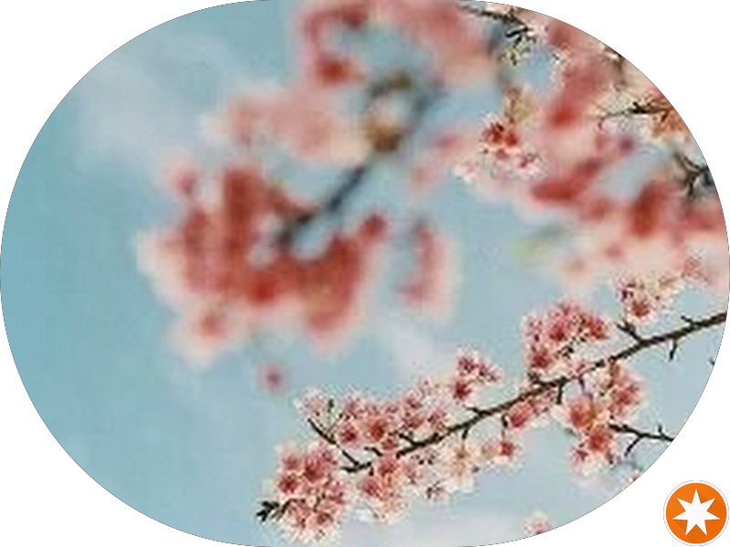 Foto 4 de Dra.Jéssica Benvenuta