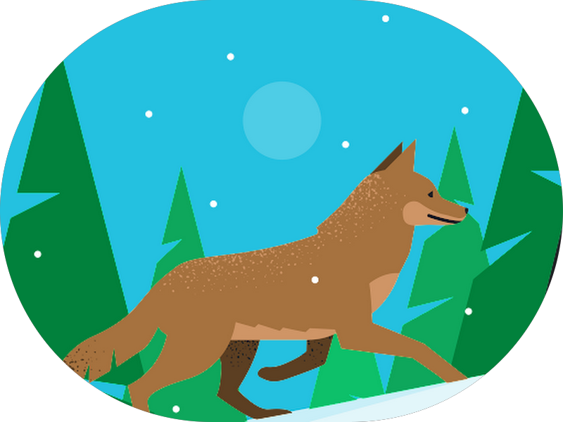 Foto 5 de Dra. Jéssica Soares | Lentes de Contato Dental em Sorocaba - SP