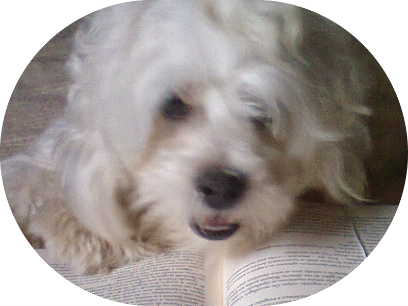 Foto 3 de DRA JOANA RUAS ODONTOLOGIA